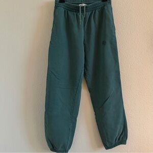 Anine Bing Teal Sport Pants
